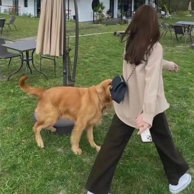 伊犁河谷